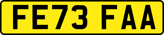 FE73FAA