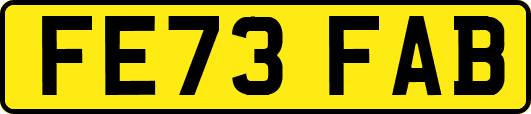 FE73FAB