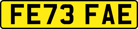 FE73FAE