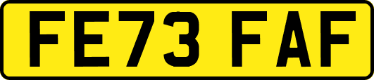FE73FAF