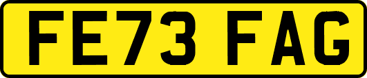 FE73FAG