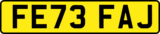 FE73FAJ
