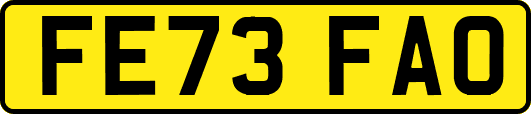 FE73FAO