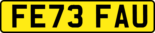 FE73FAU