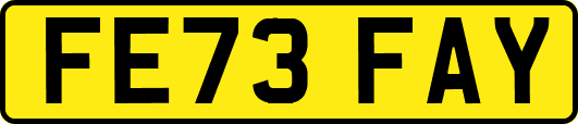 FE73FAY