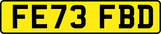 FE73FBD