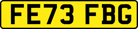 FE73FBG