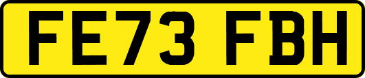 FE73FBH