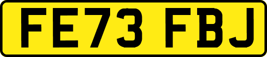 FE73FBJ