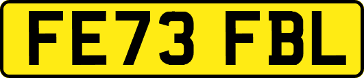 FE73FBL