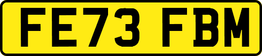FE73FBM