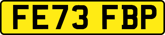 FE73FBP