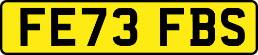 FE73FBS