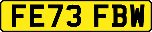 FE73FBW
