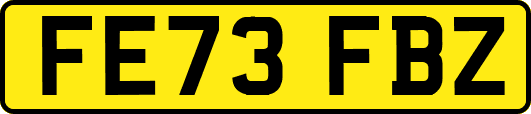 FE73FBZ
