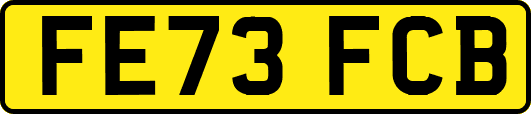 FE73FCB