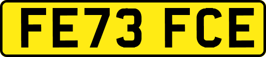 FE73FCE