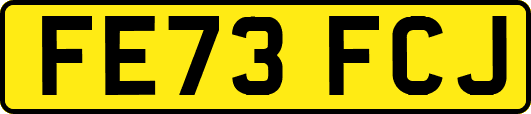 FE73FCJ