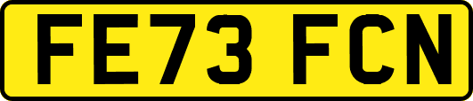 FE73FCN