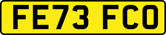 FE73FCO