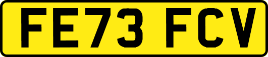 FE73FCV