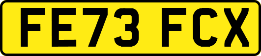 FE73FCX
