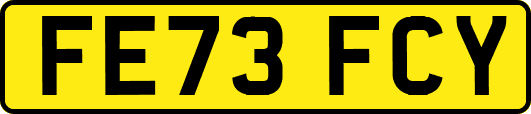 FE73FCY