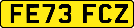 FE73FCZ