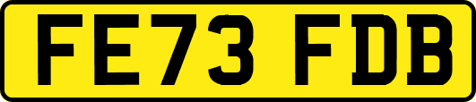 FE73FDB