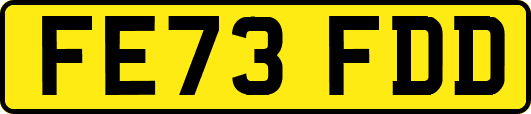 FE73FDD