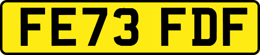 FE73FDF
