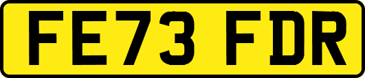 FE73FDR