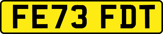FE73FDT
