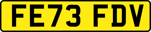 FE73FDV