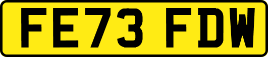 FE73FDW