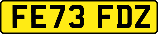 FE73FDZ