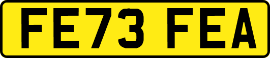 FE73FEA