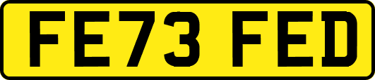 FE73FED