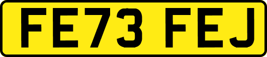 FE73FEJ