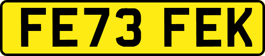 FE73FEK