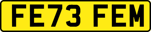 FE73FEM