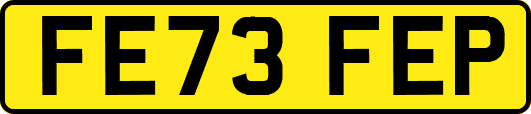 FE73FEP