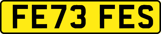 FE73FES