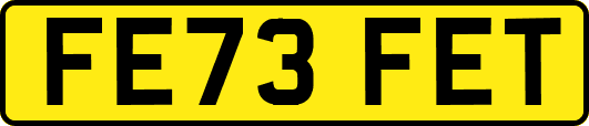 FE73FET