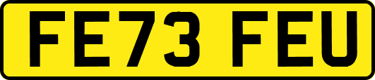 FE73FEU
