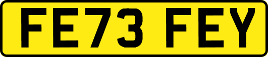 FE73FEY