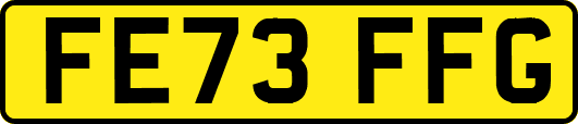 FE73FFG