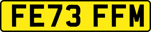 FE73FFM