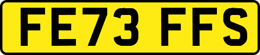 FE73FFS