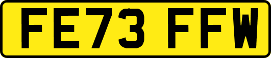 FE73FFW